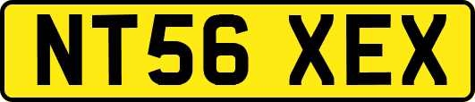 NT56XEX