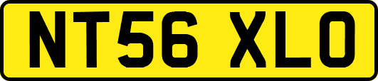 NT56XLO