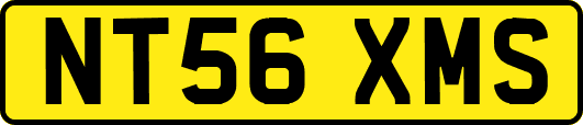 NT56XMS