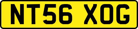NT56XOG