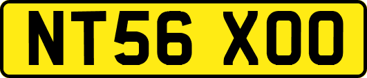 NT56XOO