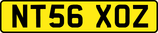 NT56XOZ