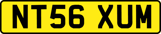 NT56XUM