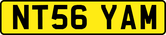 NT56YAM