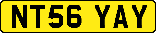 NT56YAY