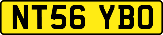 NT56YBO