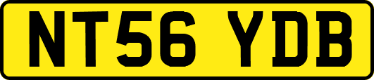 NT56YDB