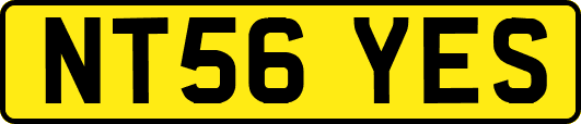 NT56YES