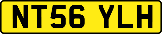 NT56YLH