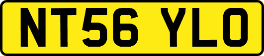 NT56YLO