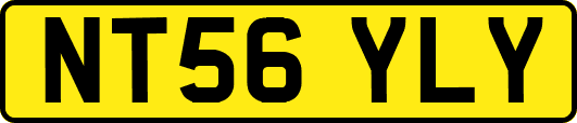 NT56YLY
