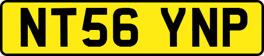 NT56YNP