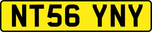 NT56YNY