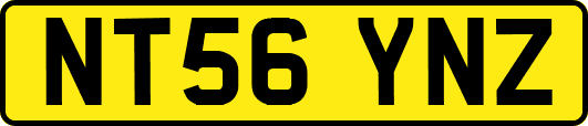 NT56YNZ