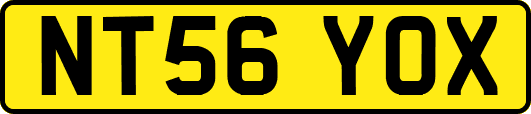 NT56YOX