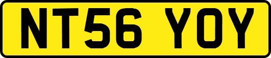 NT56YOY