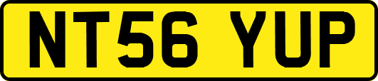 NT56YUP