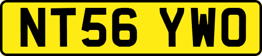 NT56YWO