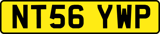 NT56YWP