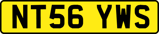 NT56YWS