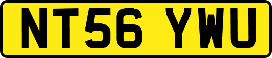 NT56YWU