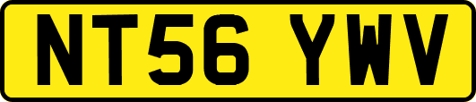 NT56YWV
