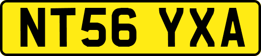 NT56YXA