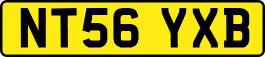 NT56YXB