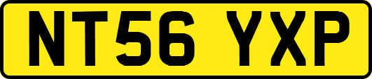 NT56YXP