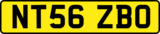 NT56ZBO