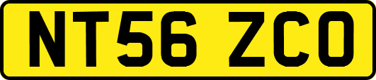 NT56ZCO