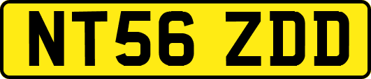 NT56ZDD