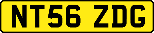 NT56ZDG