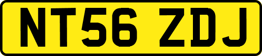 NT56ZDJ