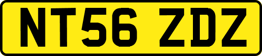 NT56ZDZ