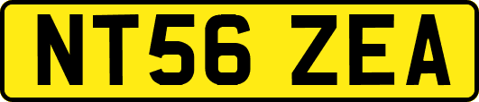 NT56ZEA