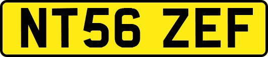 NT56ZEF