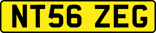 NT56ZEG