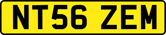 NT56ZEM