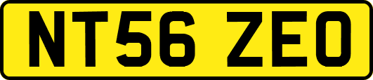 NT56ZEO