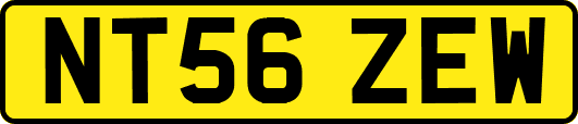 NT56ZEW