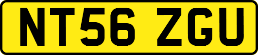 NT56ZGU