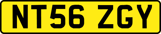NT56ZGY