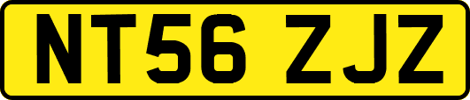 NT56ZJZ
