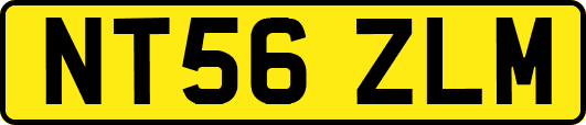 NT56ZLM