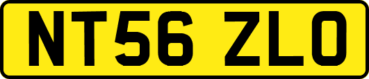 NT56ZLO