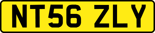 NT56ZLY