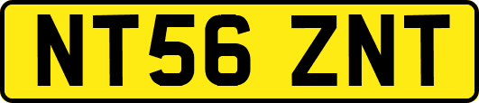 NT56ZNT