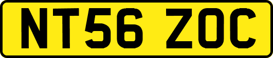 NT56ZOC