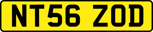 NT56ZOD